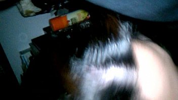 Late night dick sucking