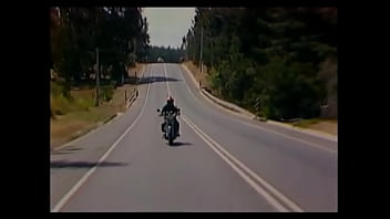 鸟云典当记 电影no主题曲