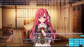 Hentai visual novel