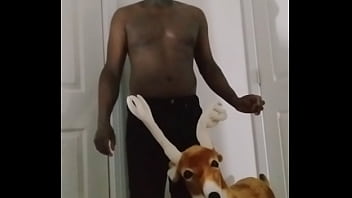 Free demo of bittersweet remix of a song