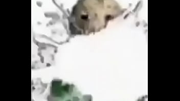 Professor gozando em você