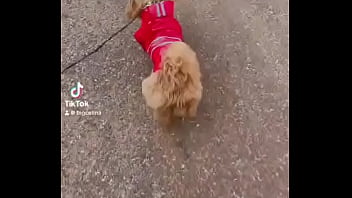 Early morning road walk with mah baby dogie