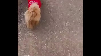 Early morning road walk with mah baby dogie