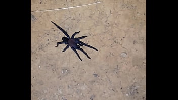 Video bokep part 68853343 Video bokep part 68853343