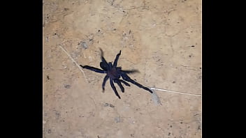 Video bokep part 68853343