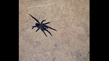 Video bokep part 68853343