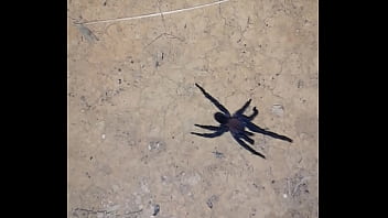 Video bokep part 68853343