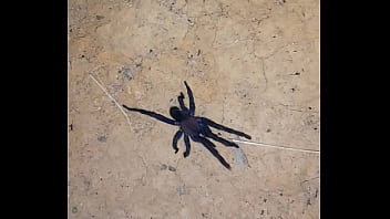 Video bokep part 68853343