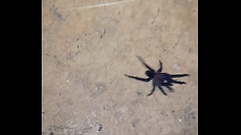 Video bokep part 68853343 Video bokep part 68853343