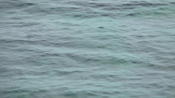 Lindsey olsen hard anal sex with monster cock outdoor anal sex