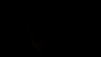 Video bokep part 24806955