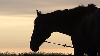 Jodi james and karlie simon are horny for group sex