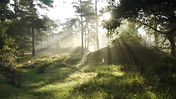 ¿how to perform oral sex on your girl my name is cristian cipriani ¿how to perform oral sex on your girl my name is cristian cipriani