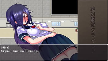 Passeando de coleira