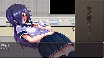 Passeando de coleira