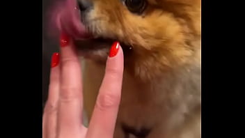 Happy dog️ update #190 2024 12 11t18 43 12 000z Happy dog️ update #190 2024 12 11t18 43 12 000z