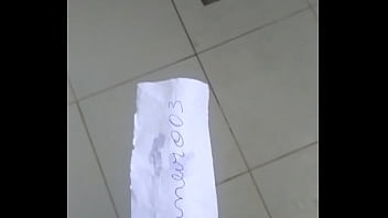 Validaçao da pica baianeira