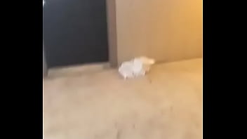 Humiliated by front door