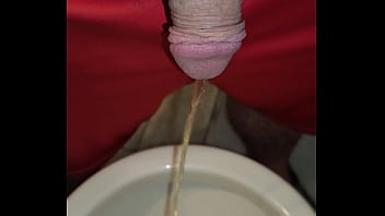 Kaso221 pissing in toilet