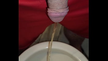 Kaso221 pissing in toilet