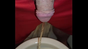 Kaso221 pissing in toilet