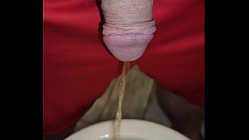 Kaso221 pissing in toilet