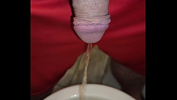Kaso221 pissing in toilet