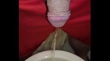 Kaso221 pissing in toilet