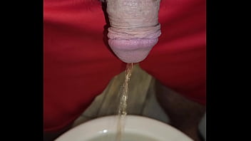 Kaso221 pissing in toilet