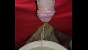 Kaso221 pissing in toilet