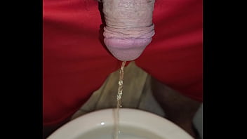 Kaso221 pissing in toilet