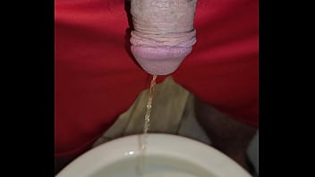 Kaso221 pissing in toilet