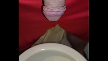 Kaso221 pissing in toilet