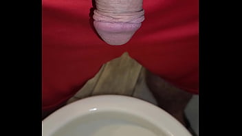 Kaso221 pissing in toilet