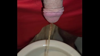 Kaso221 pissing in toilet