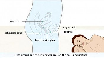 120bdff1c7b3df33a60f6ba4e0918fc0