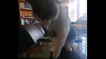 Putita Pide Verga thumbnail