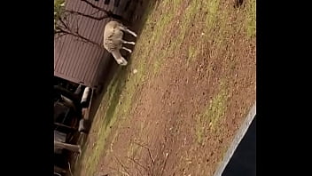 Buenas tardes update #325 2024 10 29t17 23 41 000z