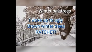 I woke up to ugly brown winter trees ratchet