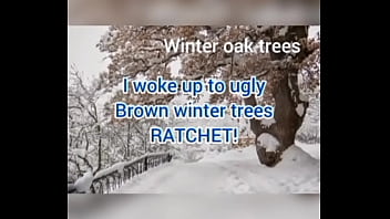 I woke up to ugly brown winter trees ratchet
