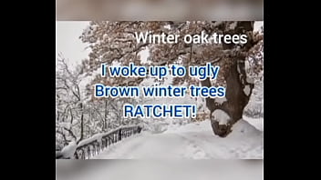 I woke up to ugly brown winter trees ratchet