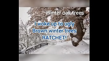 I woke up to ugly brown winter trees ratchet
