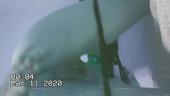 Esta plays w her kitty and ass