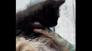 I love kitties chilling on my head do you have a pets #kittylove #chillvibes #psylandbodysuit #inkedmodel #eyeba