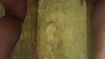 Arrombar meu cuzinho diz ela desejando uma ferramenta lá atrás