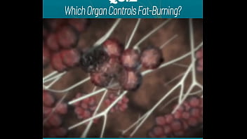 Amazing body of a sexy gym trainer gv6ng