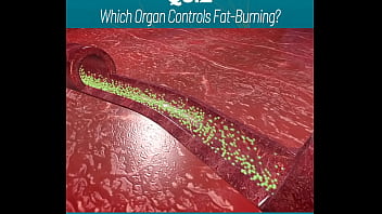 Amazing body of a sexy gym trainer gv6ng