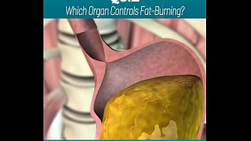 Amazing body of a sexy gym trainer gv6ng