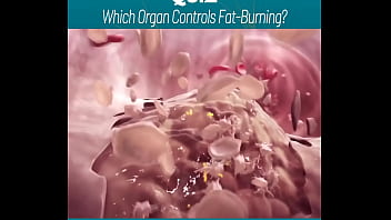 Amazing body of a sexy gym trainer gv6ng