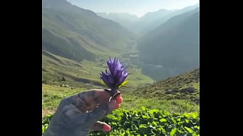 Coffee outside in nature—so beautiful ️ what’s your go to outdoor beverage #outdoorcoffee #naturelovers #co Coffee outside in nature—so beautiful ️ what’s your go to outdoor beverage #outdoorcoffee #naturelovers #co